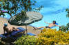 Best Western Phuket Ocean Resort 